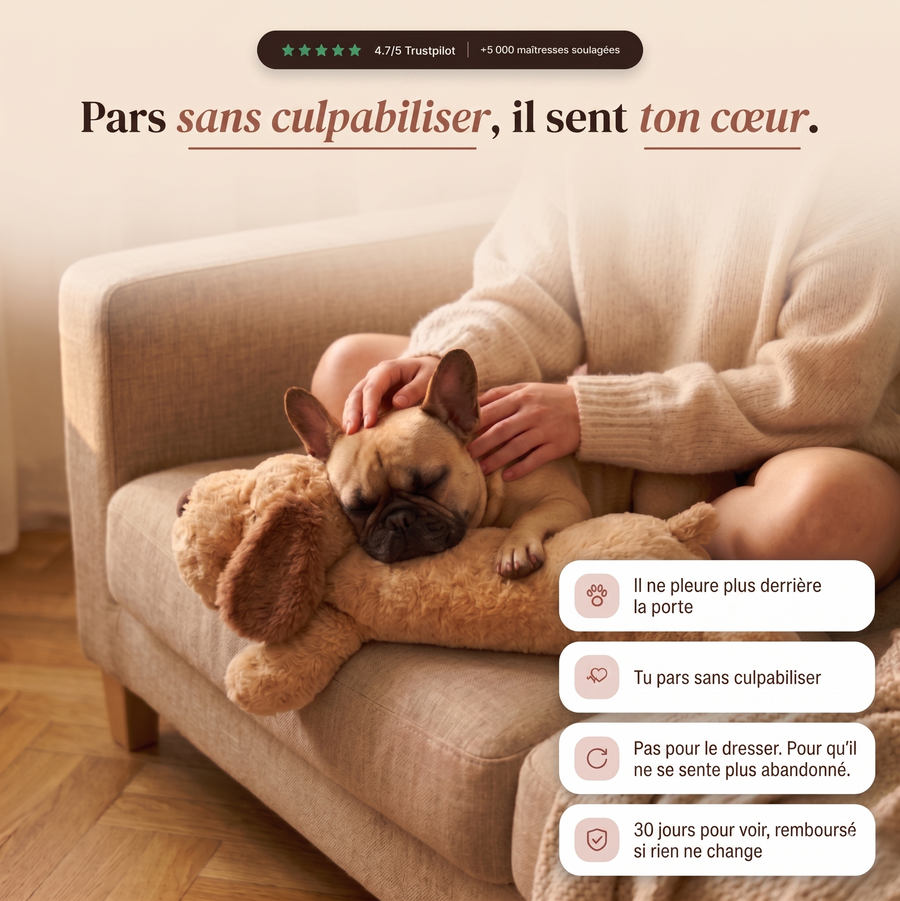 PurePaws