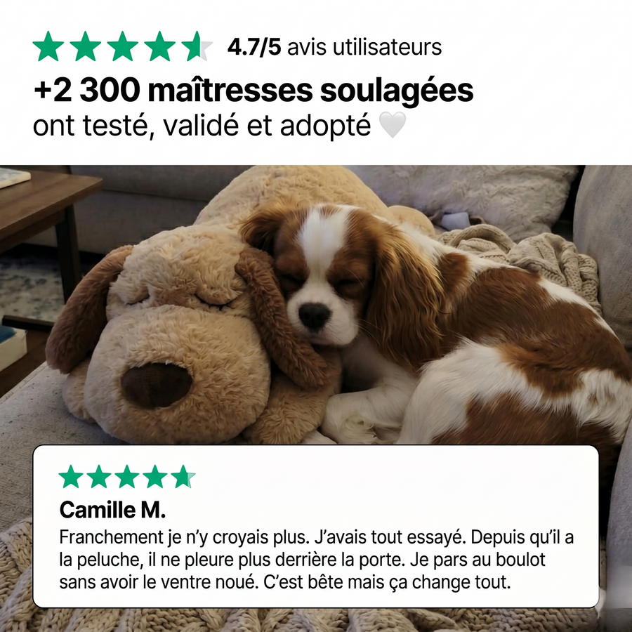 PurePaws