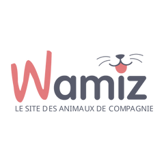Wamiz