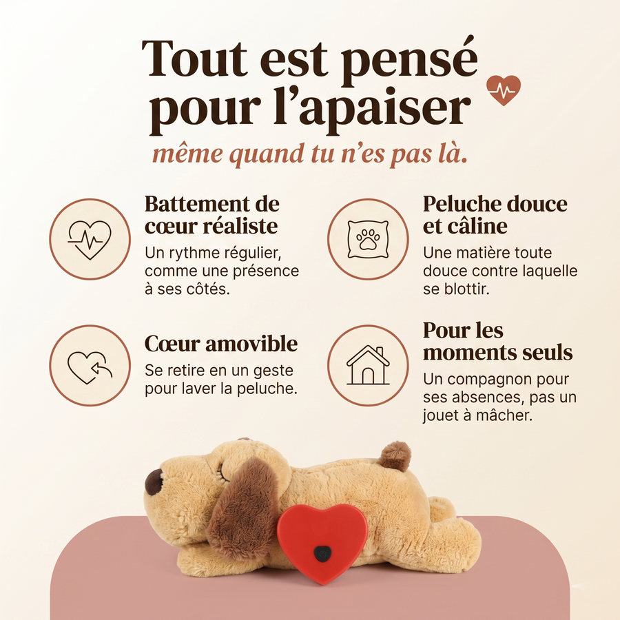 PurePaws