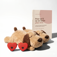 2 Kits Peluche + Coeur