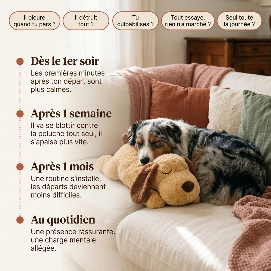 PurePaws