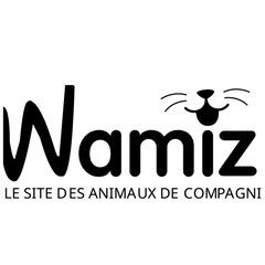 Wamiz