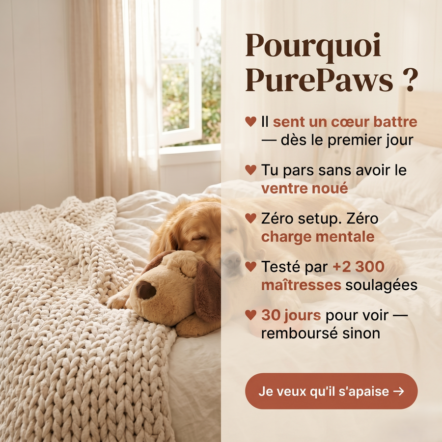 PurePaws